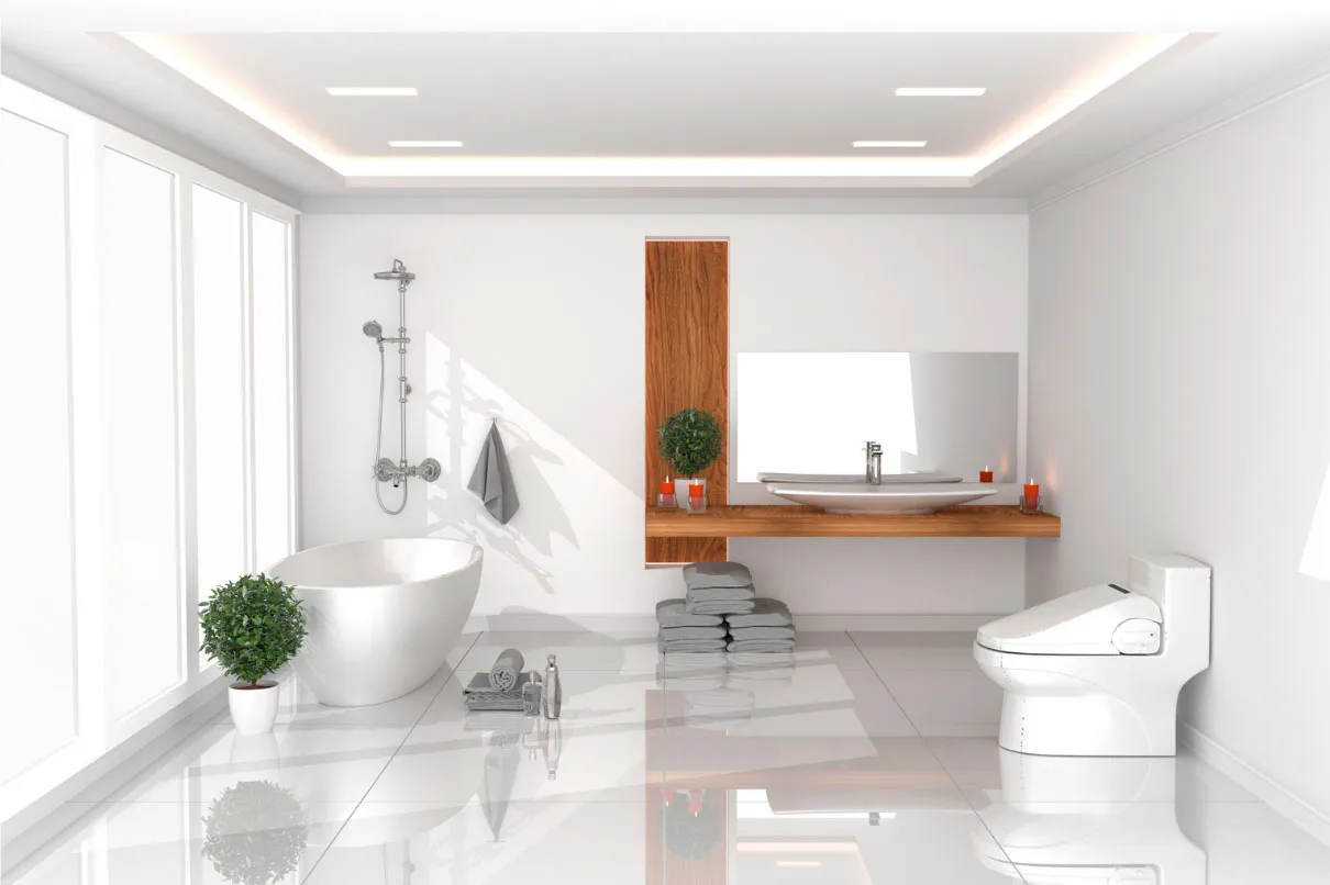 Interior House Painting
